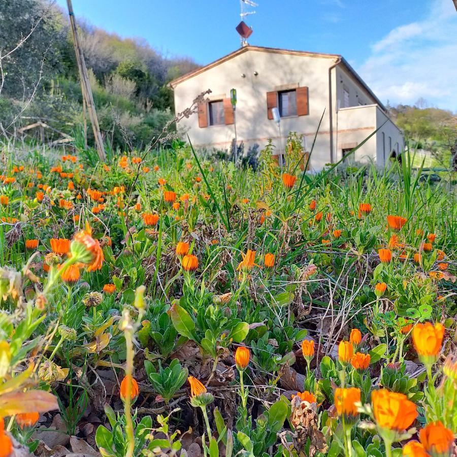 Ca'Rosei Monteciccardo Exterior foto
